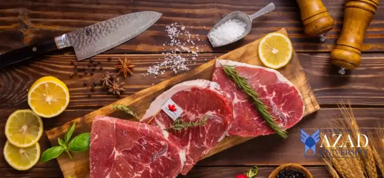 Azad Workshop | American National College Cooking Workshop : Master the Art of Home Cooking