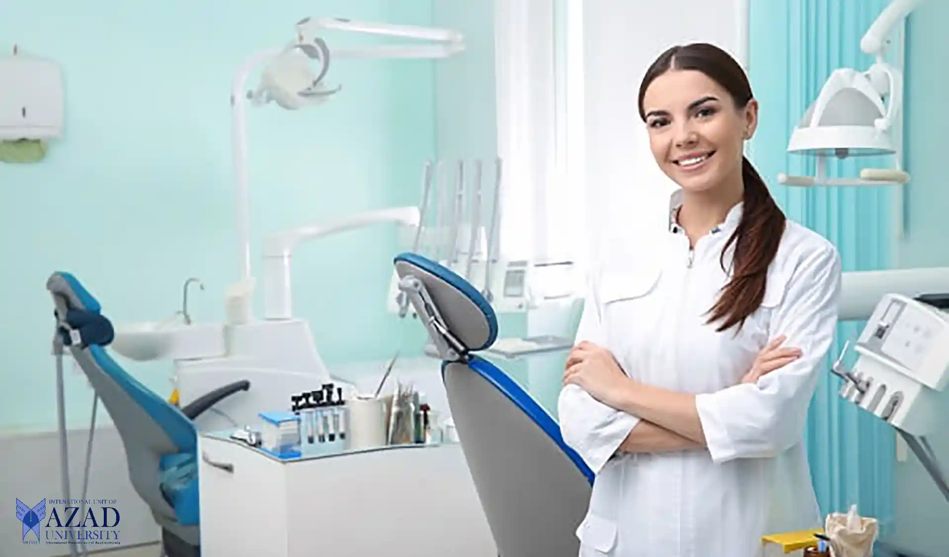 International American National College Dentistry: Explore Oral Anatomy