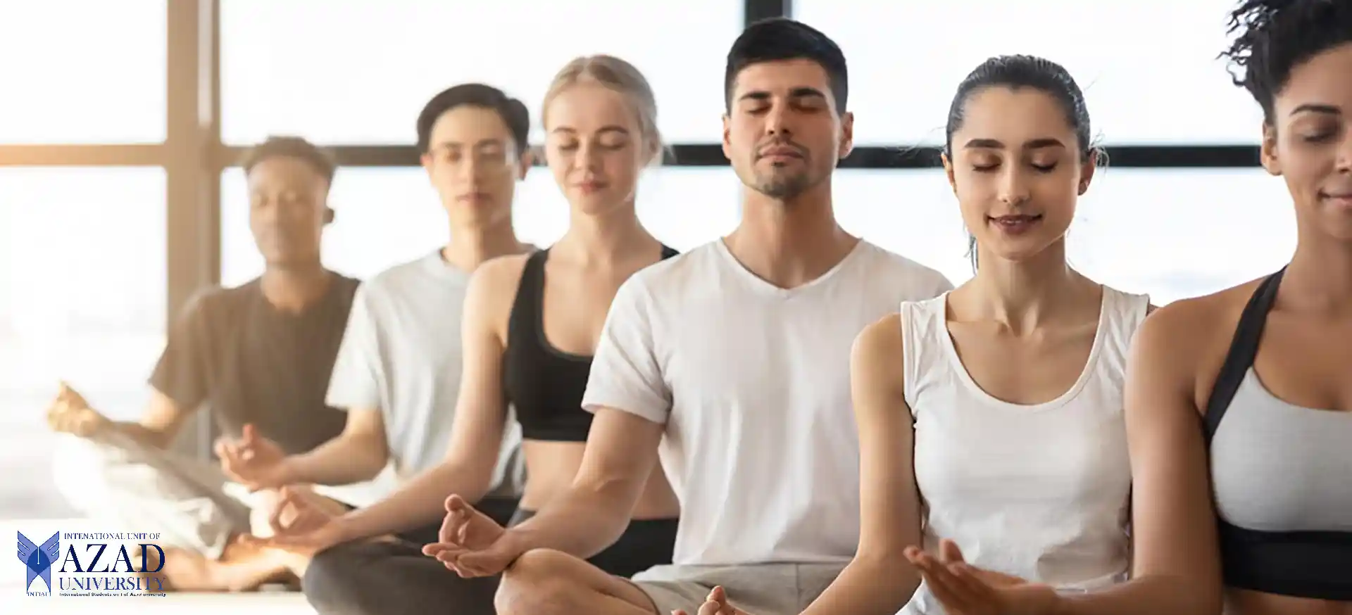 American National College Meditation Training: Understanding the Basics